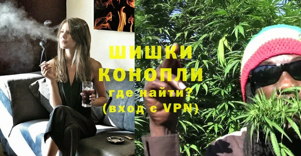 индика Остров