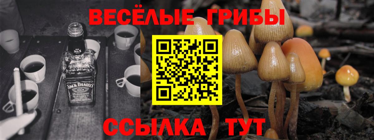 Псилоцибиновые грибы Psilocybine cubensis  Вход с VPN  Ишим 