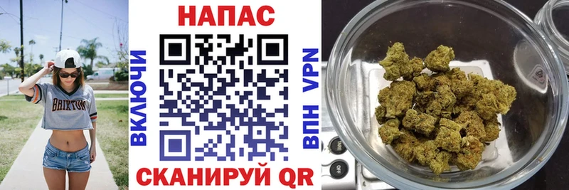 Каннабис сатива  где продают наркотики  Ишим 